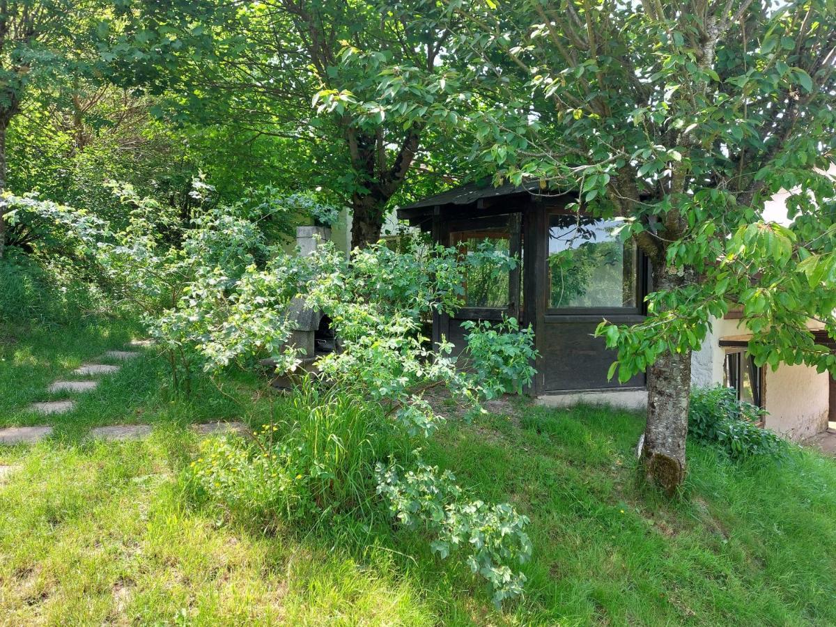 Gite De Moulin Maurt Xertigny Εξωτερικό φωτογραφία